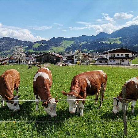 Ferienhaus Weberhof Reith im Alpbachtal Zewnętrze zdjęcie