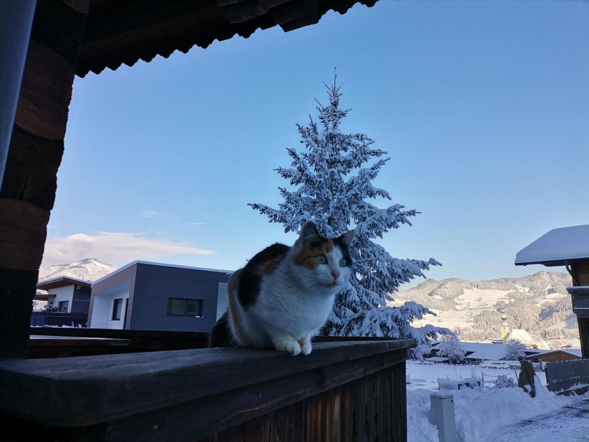 Ferienhaus Weberhof Reith im Alpbachtal Zewnętrze zdjęcie