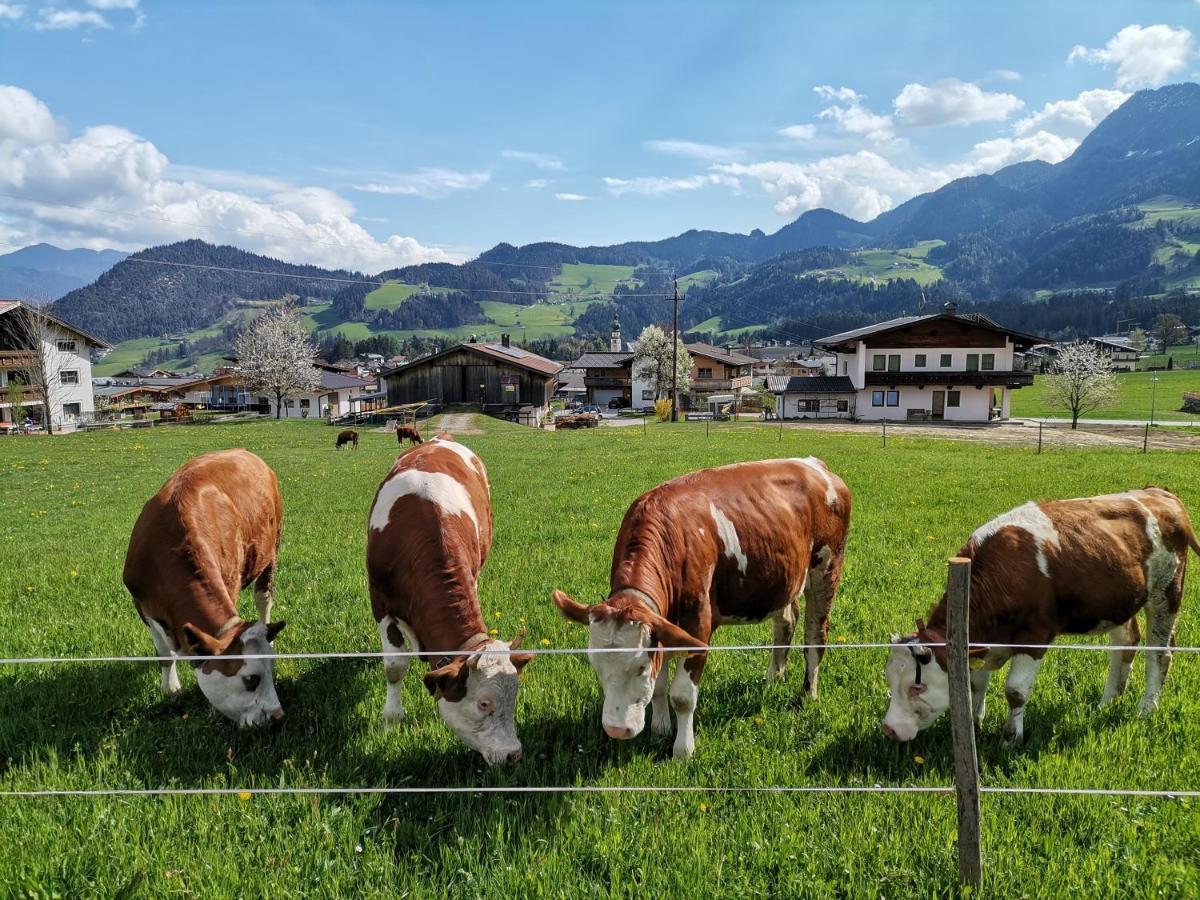 Ferienhaus Weberhof Reith im Alpbachtal Zewnętrze zdjęcie